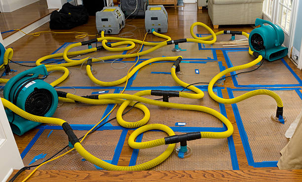 Professional Crawl Space Water Removal technician working in South Bend, WA